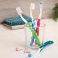Adult Silver Care Toothbrush Soft (with refill)