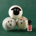 Dryer Balls and Essential Oil Set - LE