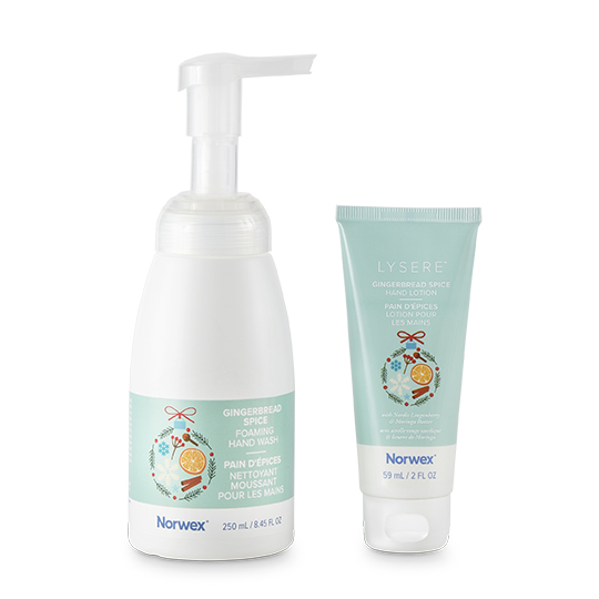 Gingerbread Hand Soap and Lotion Set